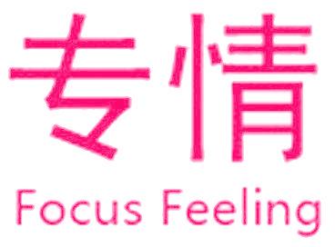 专情 FOCUS FEELING