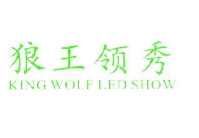 狼王领秀  KING WOLF LED SHOW