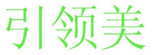 引領(lǐng)美