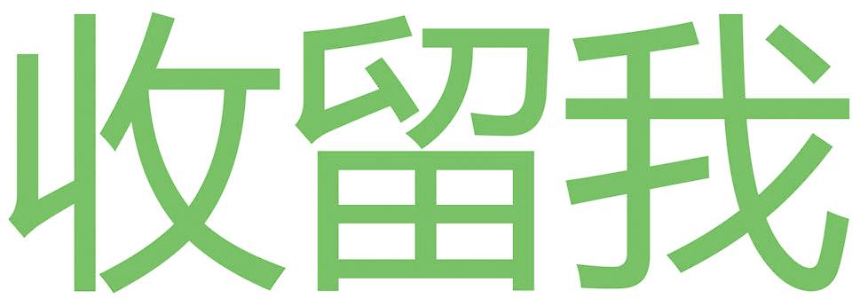 收留我