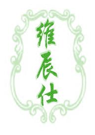 维辰仕
