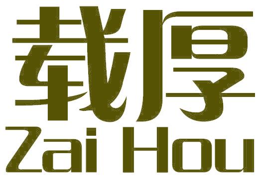 载厚