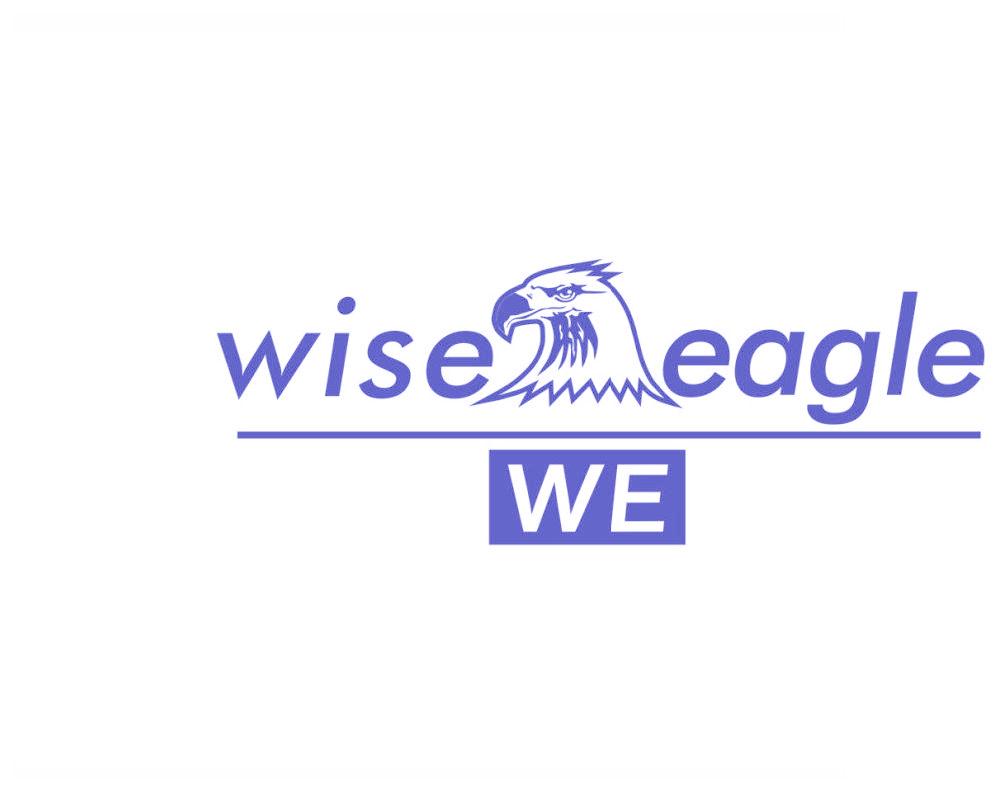 WISE EAGLE WE
