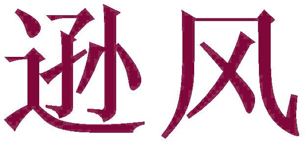 逊风