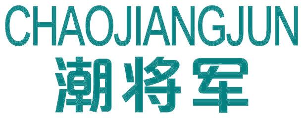 潮将军
