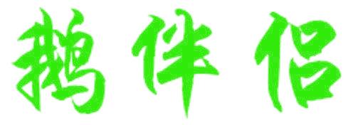 鹅伴侣