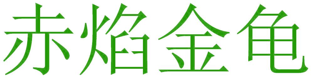 赤焰金龜