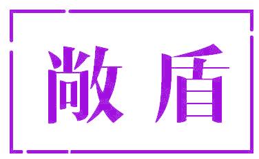 敞盾