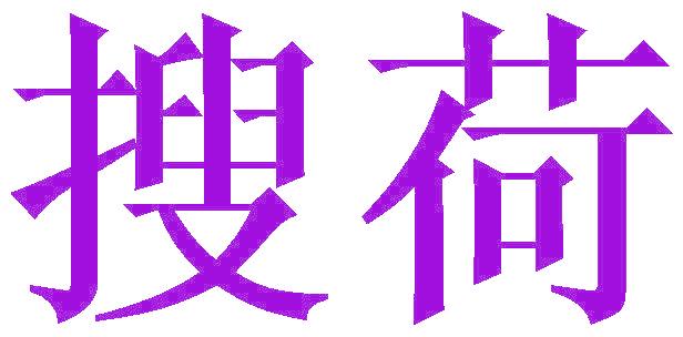 搜荷
