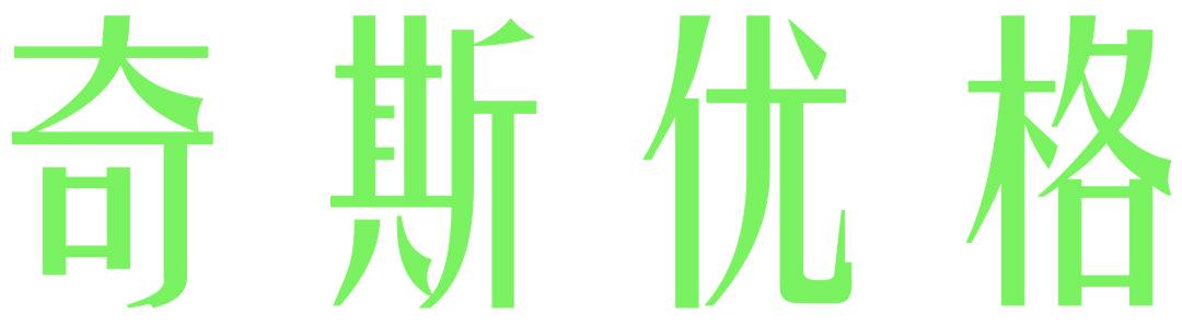 奇斯优格