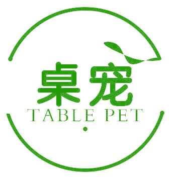 桌宠 TABLE PET