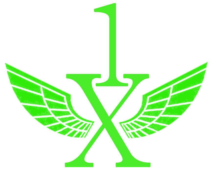 1 X