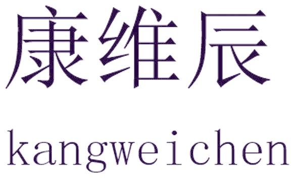 康维辰