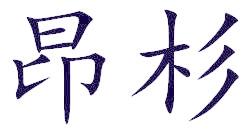 昂杉