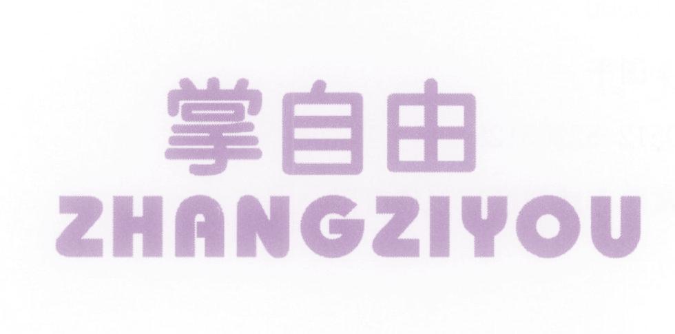 掌自由