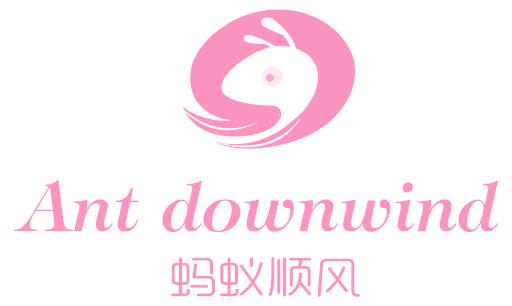 蚂蚁顺风 ANT DOWNWIND