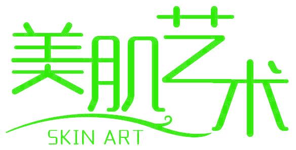 美肌艺术 SKIN ART