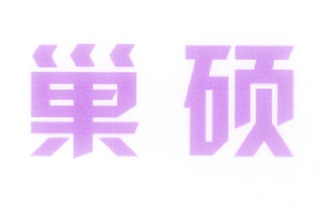 巢硕