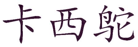 卡西鸵
