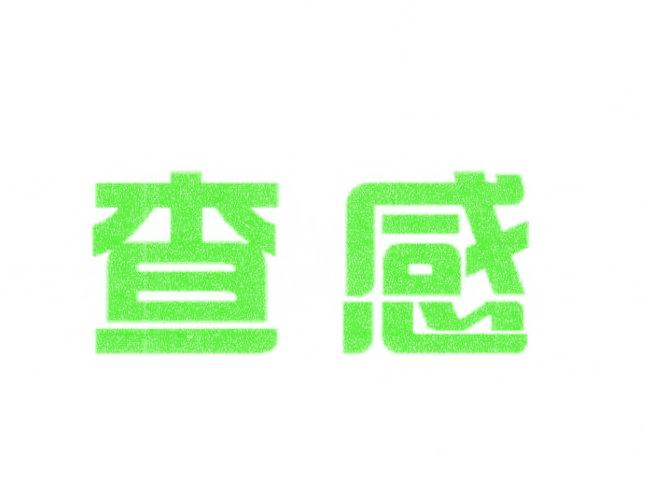 查感
