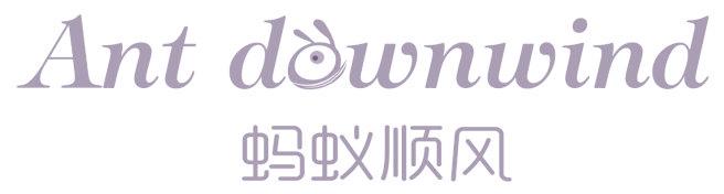 蚂蚁顺风 ANT DOWNWIND