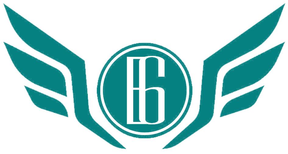 E 6