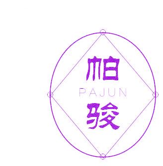 帕骏