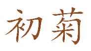 初菊