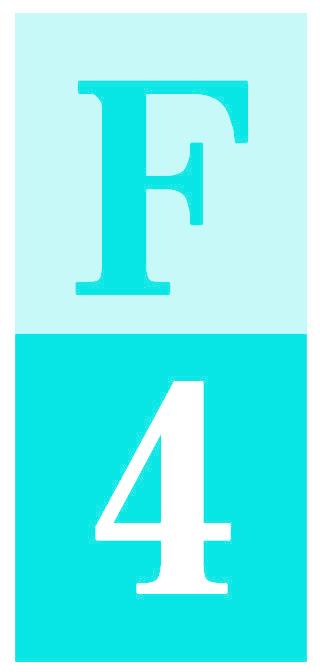 F 4