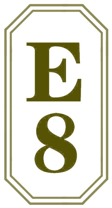 E 8