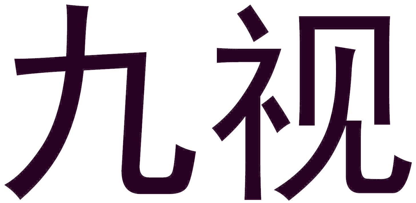 九视