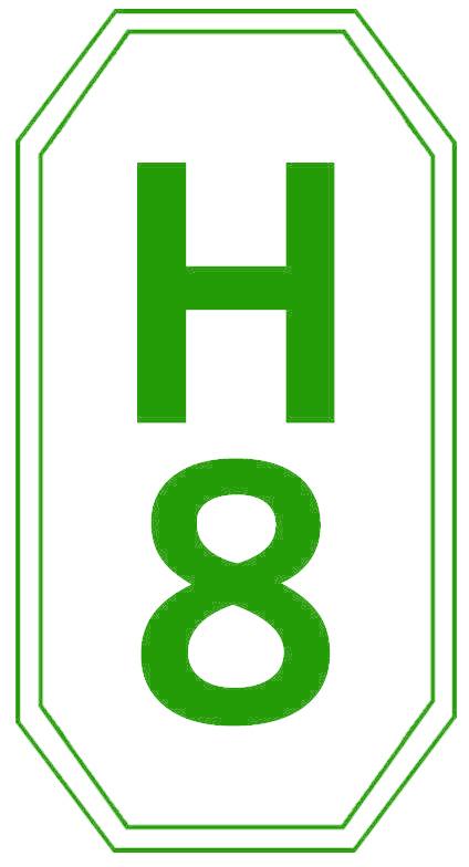 H 8