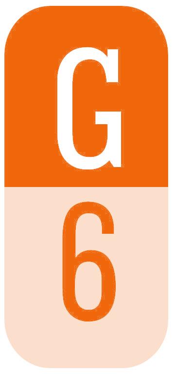 G6