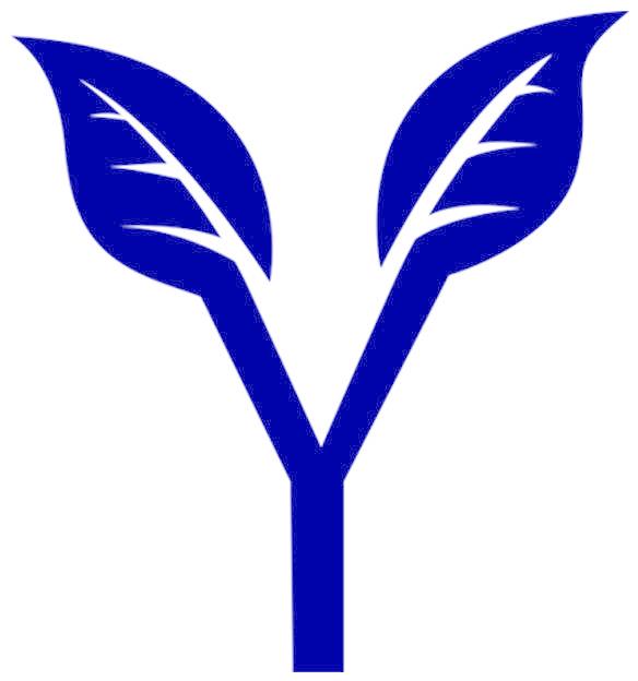 Y