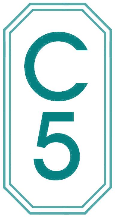 C 5