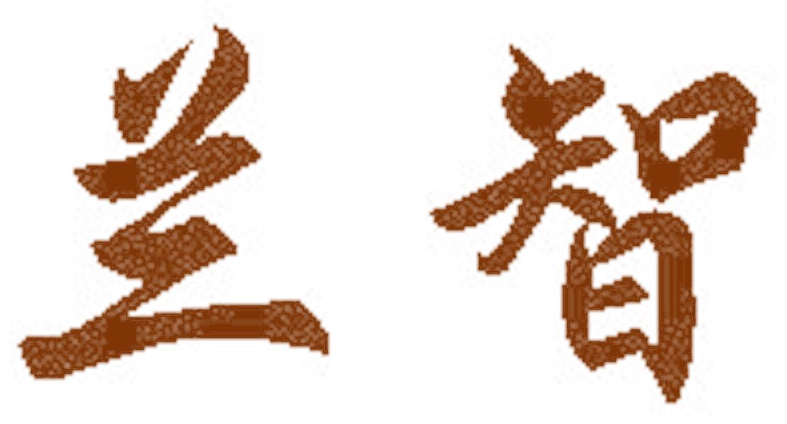 兰智