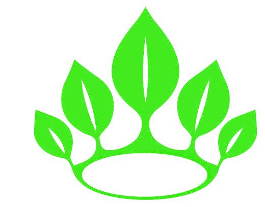 图形