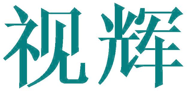 视辉