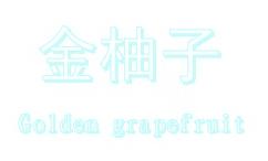 金柚子 GOLDEN GRAPEFRUIT