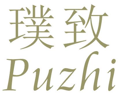璞致