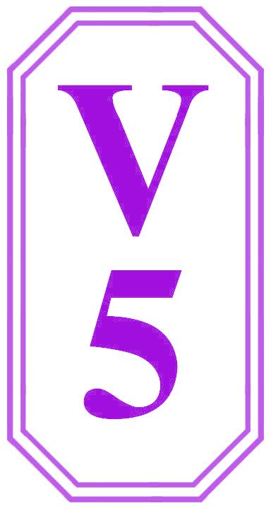 V 5