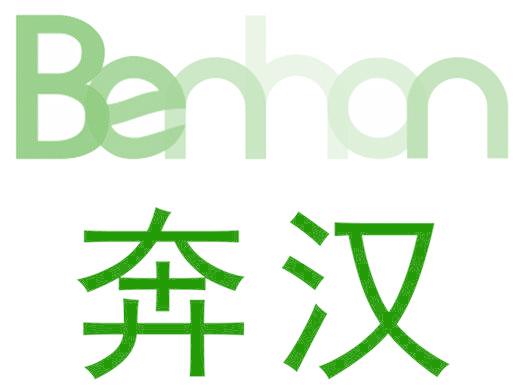 奔汉