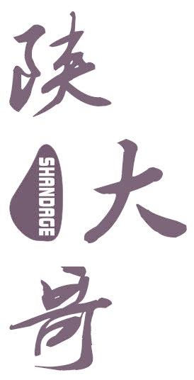 陕大哥
