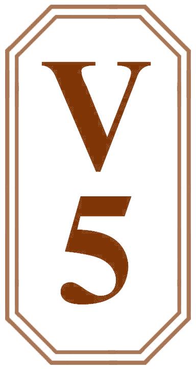 V 5