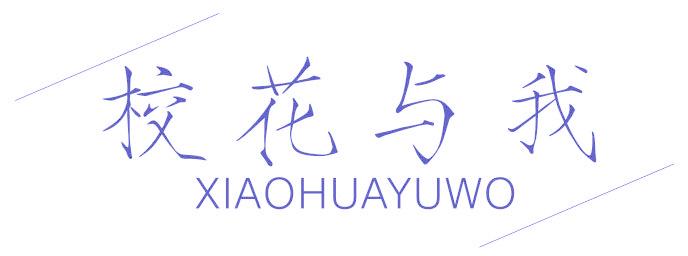 校花与我