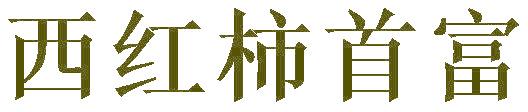 西红柿首富