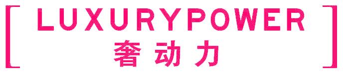 奢动力 LUXURYPOWER