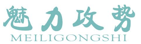 魅力攻势