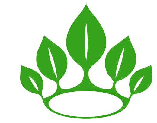 图形