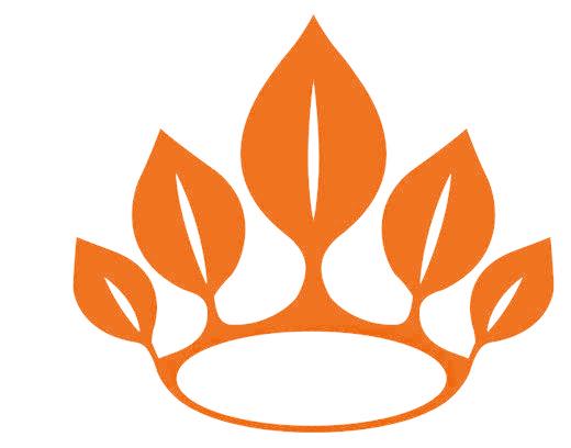 图形